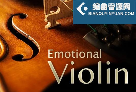 情感小提琴 Best Service Emotional Violin