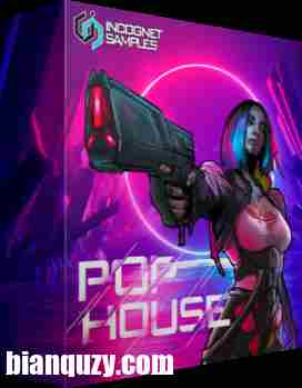 Incognet Samples Pop House MULTi-FORMAT-DISCOVER