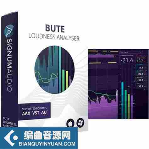 智能的响度测量插件 – Signum Audio Bute Loudness Analyzer 2 Stereo Surround v2.0.1 WiN