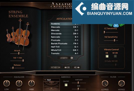 全面一体综合管弦乐 Sonic Scores Amadeus Symphonic Orchestra