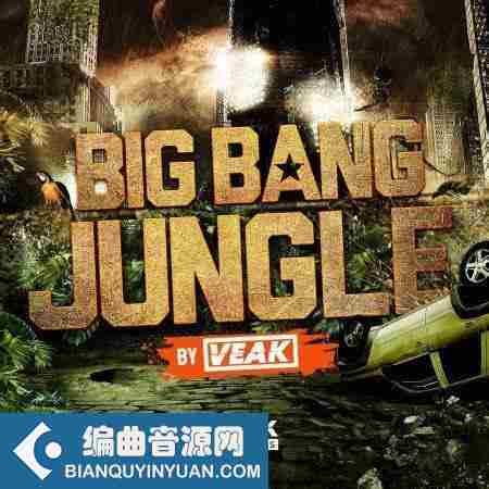 THICK Sounds Big Bang Jungle by Veak WAV-FANTASTiC