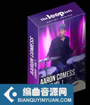 The Loop Loft Aaron Comess Looped Vol 1 MULTiFORMAT-DECiBEL