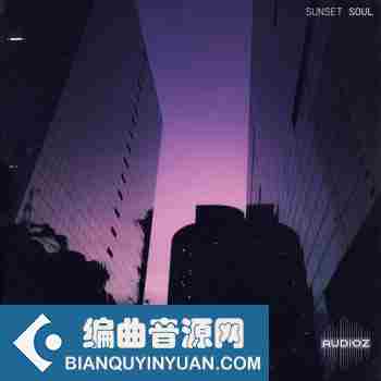 Lo-Fi Soul采样包 – Touch Loops Sunset Soul WAV-DECiBEL