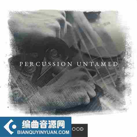 敲击刮擦提琴的FX打击乐 – Westwood Instruments Percussion Untamed KONTAKT