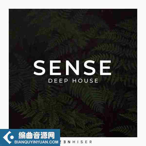 Zenhiser Sense Deep House WAV-FANTASTiC