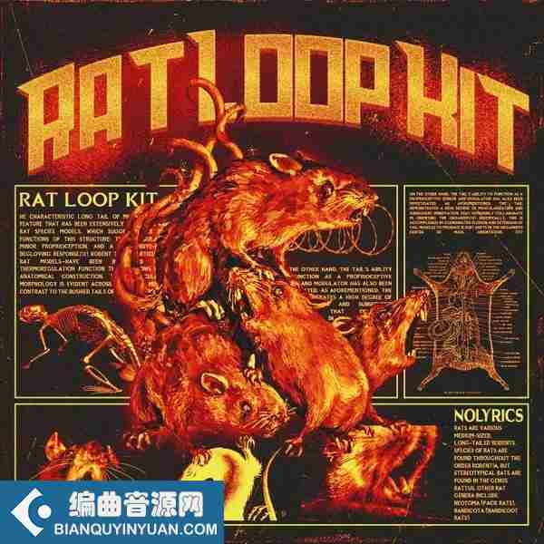nolyrics RAT (Loop Kit and FLP) MULTiFORMAT-DECiBEL