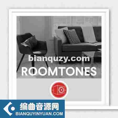房间类音效 – Big Room Sound Roomtones [WAV]