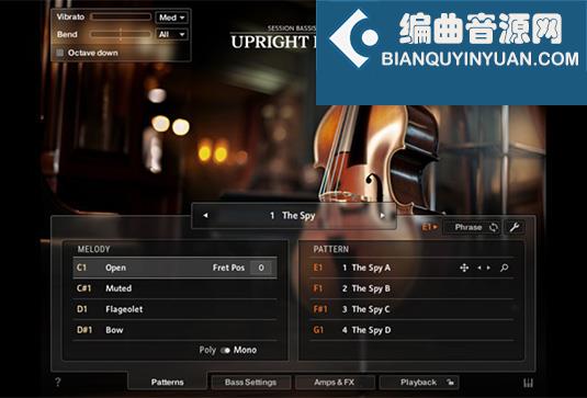 立式原声贝司 Native Instruments Session Bassist Upright Bass